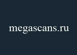 Megascans.ru -    