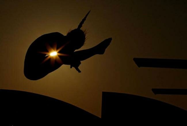             AT&T USA Diving Grand Prix  - () 7 .