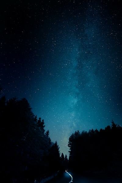 Art of Photography contest -  