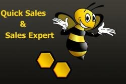     CRM- Sales Expert 