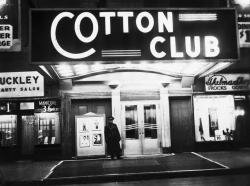 Cotton Club - ׸    