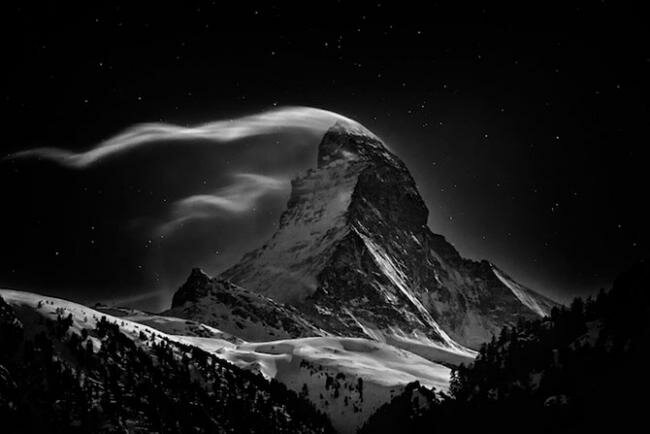         .      (Nenad Saljic).