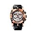  Easy Diver Chronograph SED46  Roger Dubuis  320.8